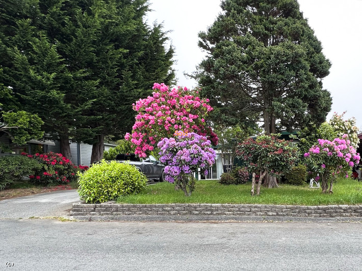 23197843, 16104 Kings Way, Brookings, OR 97415, #23197843