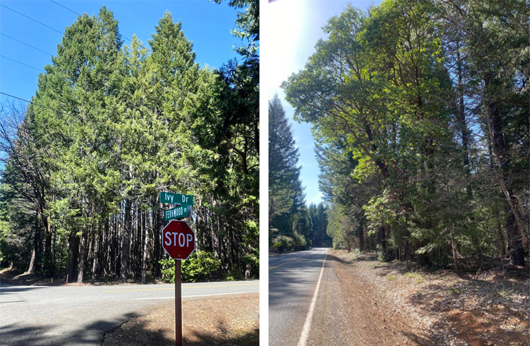 220162772, 150 Ivy Dr, Cave Junction, OR 97523, #220162772