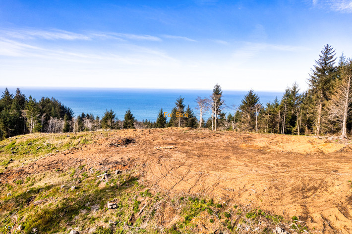 23399196, 71 Acres Hwy 101 TL6900, Gold Beach, OR 97444, #23399196
