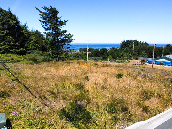 23320409, 30302 Driftwood Dr, Gold Beach, OR 97444, #23320409