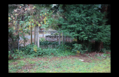 1556-Mount-Baldy-Road_04