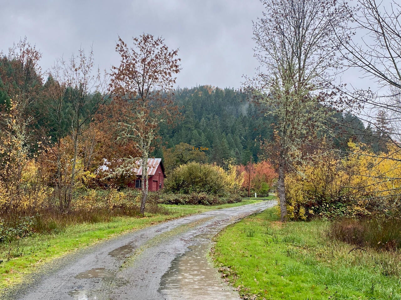12863_Redwood_Hwy_31