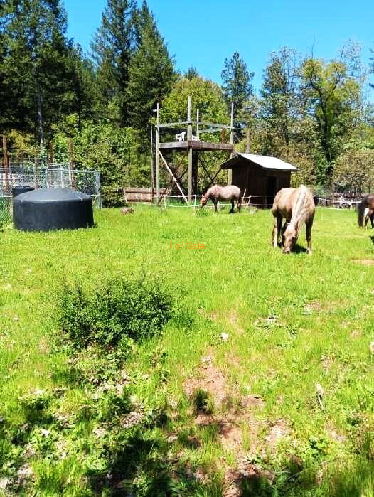 28057_Redwood_Hwy_11