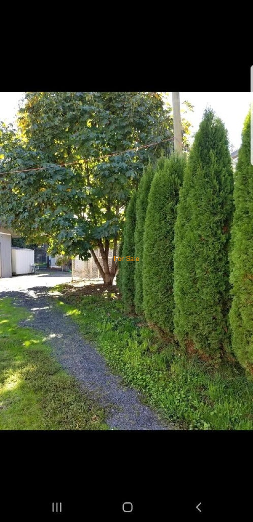 28057_Redwood_Hwy_15