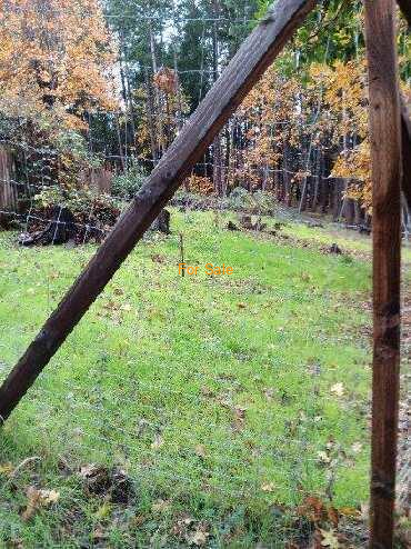 28057_Redwood_Hwy_16