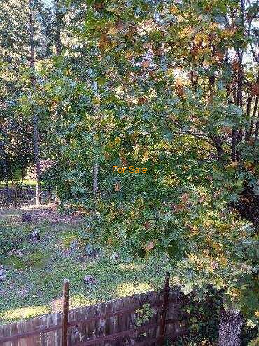 28057_Redwood_Hwy_17