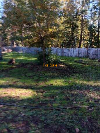 28057_Redwood_Hwy_18