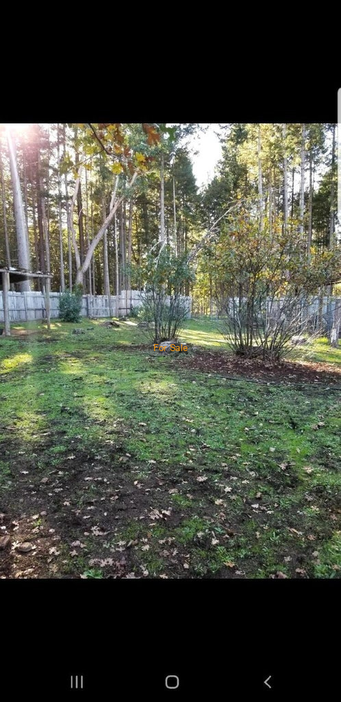 28057_Redwood_Hwy_20