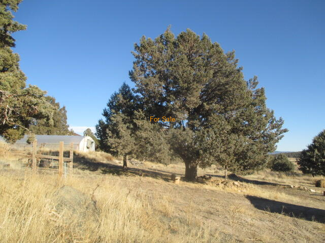 29862_Drews_Rd_19