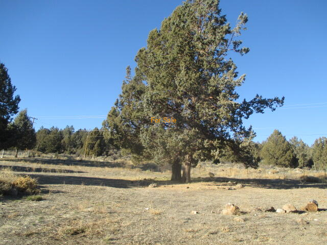 29862_Drews_Rd_20