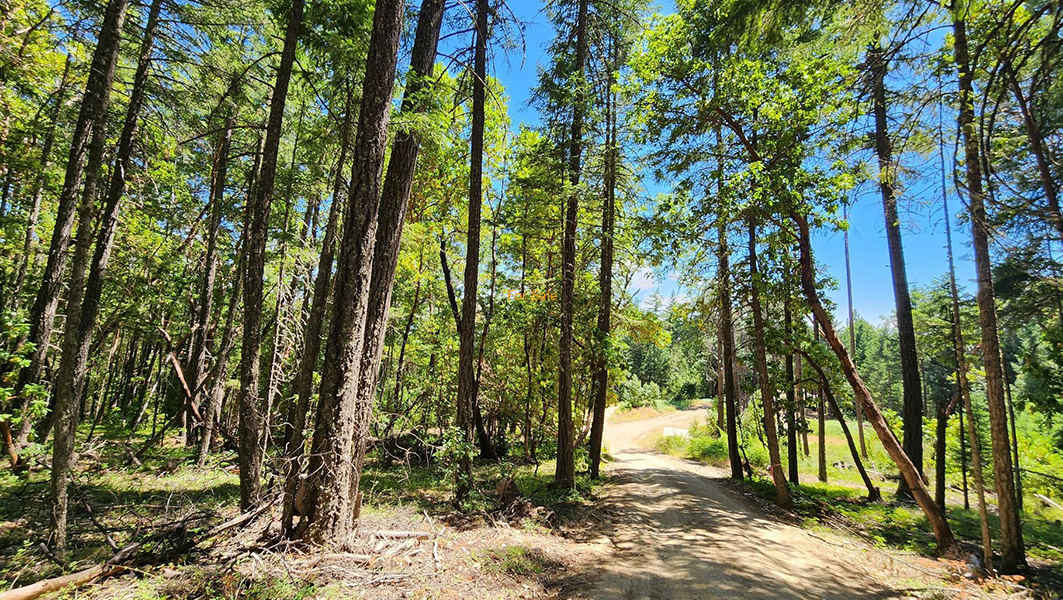 Quartz-Creek-Road-5-Acres_00-28-1