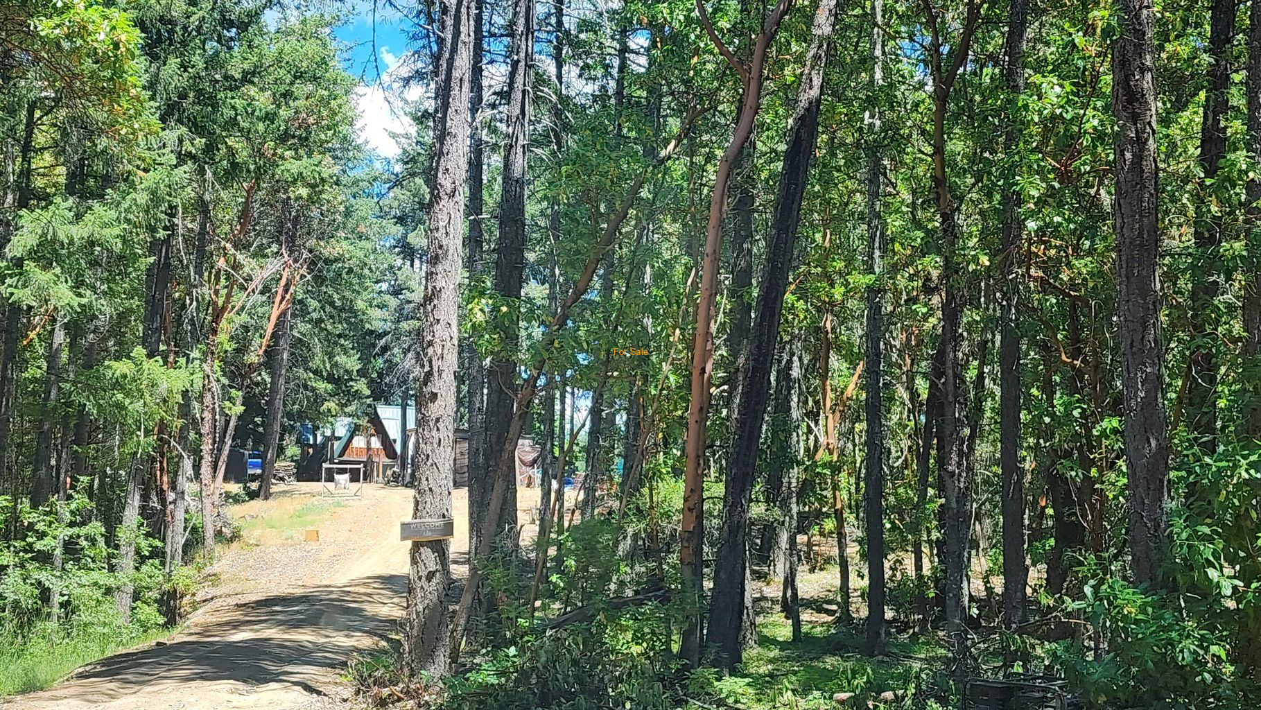 Quartz-Creek-Road-5-Acres_02