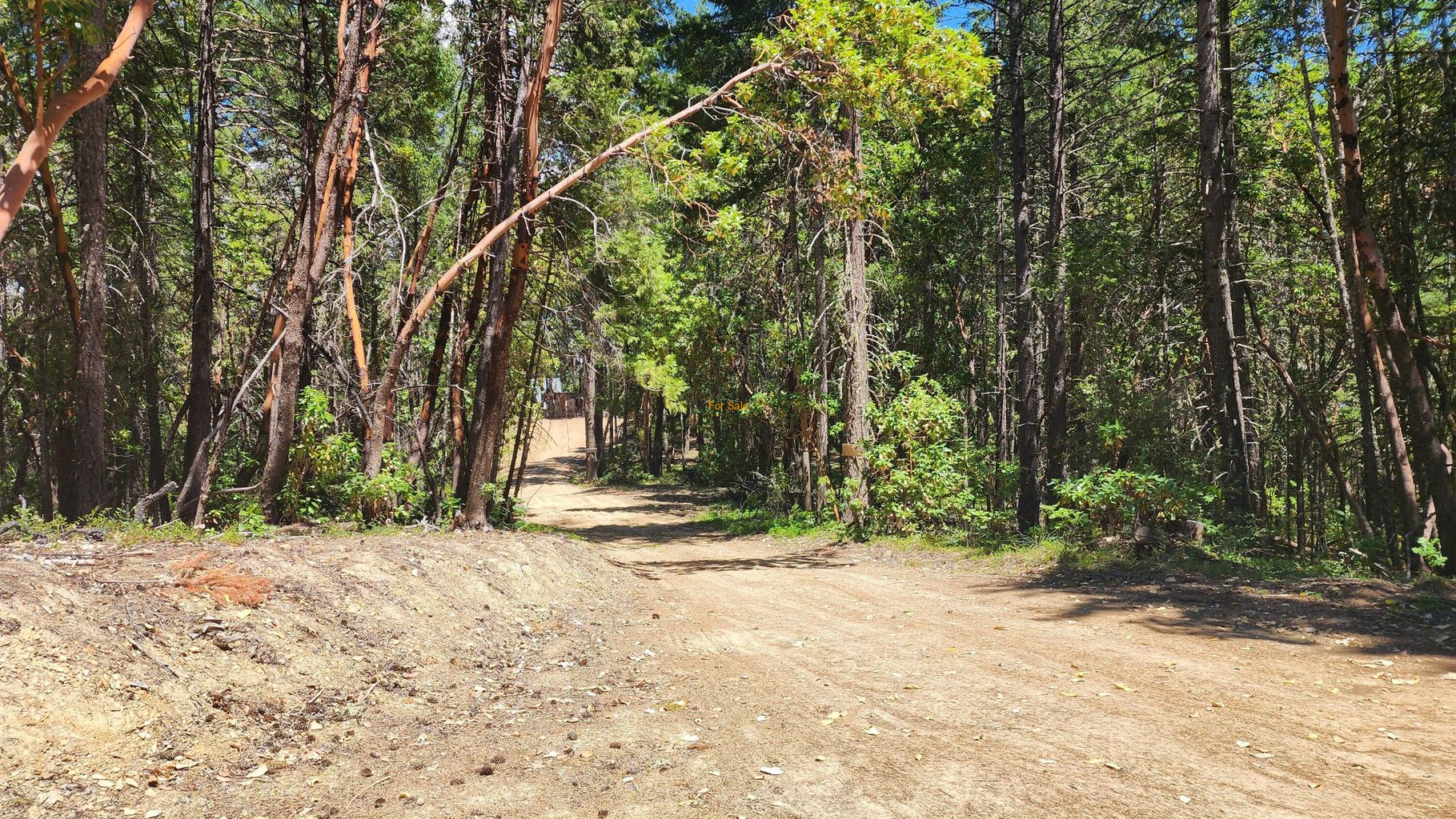 Quartz-Creek-Road-5-Acres_03