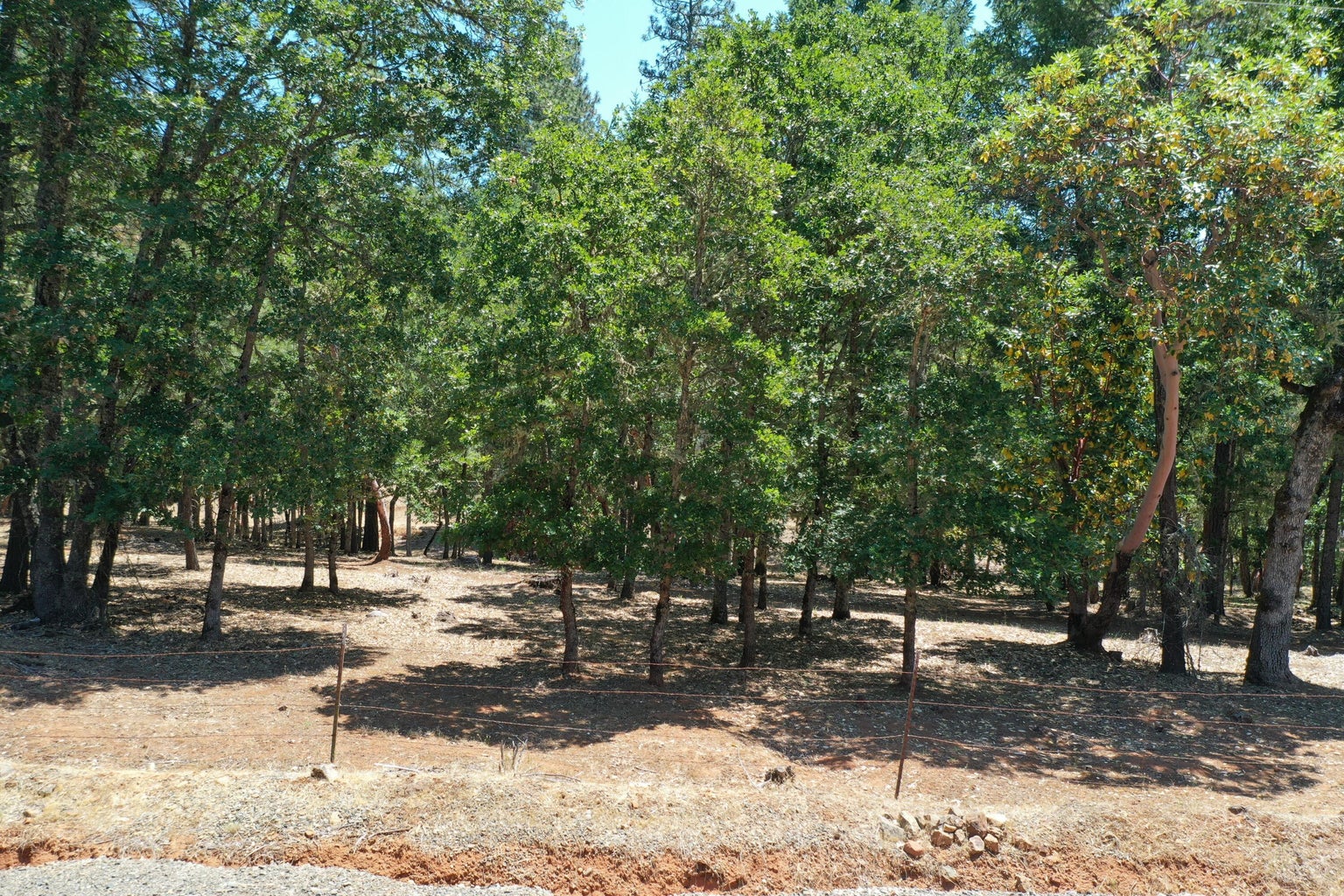 280-Board-Shanty-Creek-Road_12