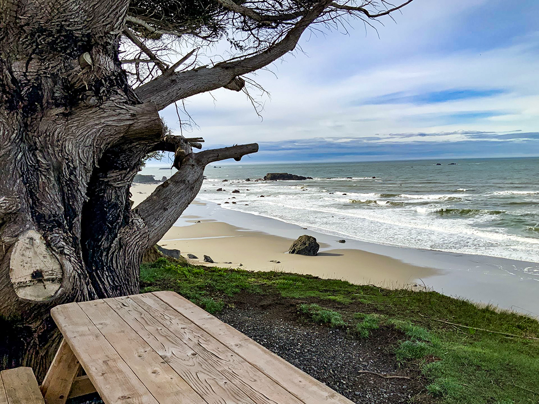 24417646, Surfside Dr TL1101, Gold Beach, OR 97444, #24417646, move2oregon