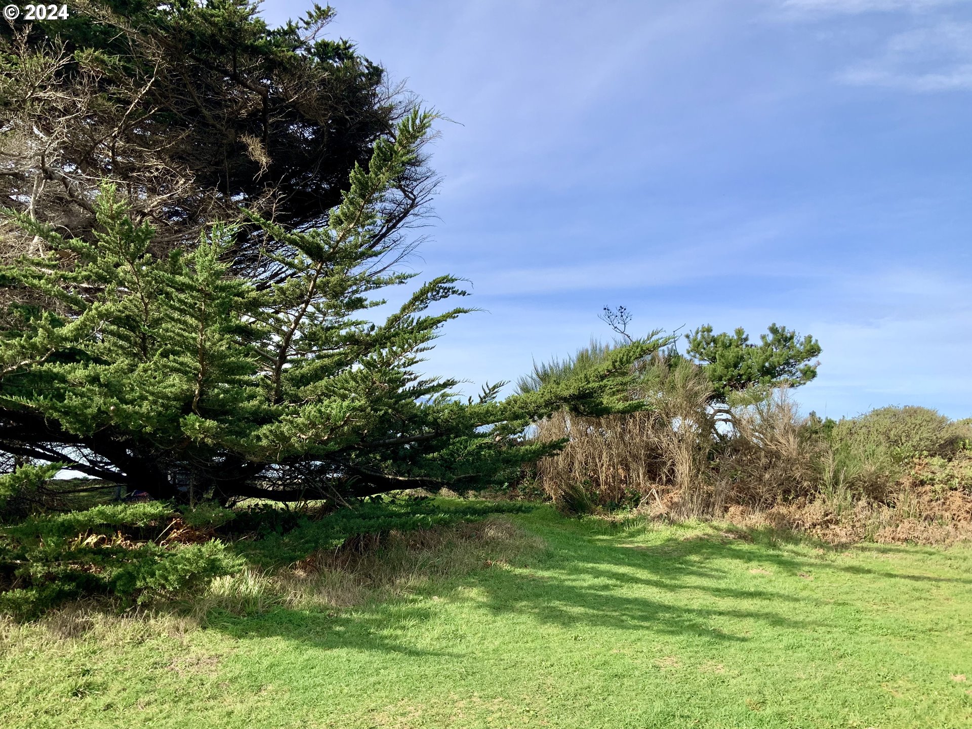 Surfside_Dr_TL1101_06