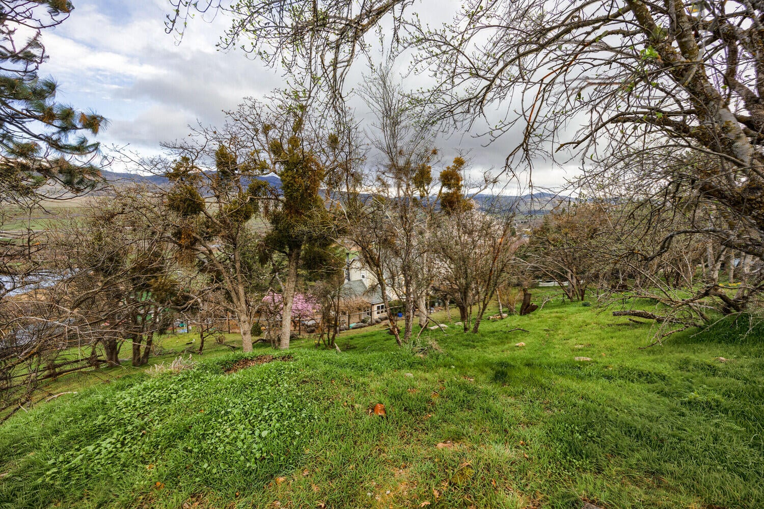 436_Monte_Vista_Dr_32