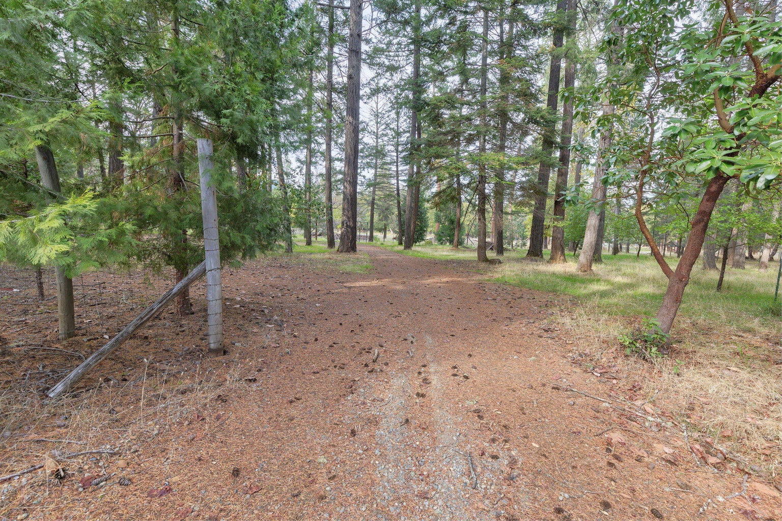 1820_Powell_Creek_Rd_28