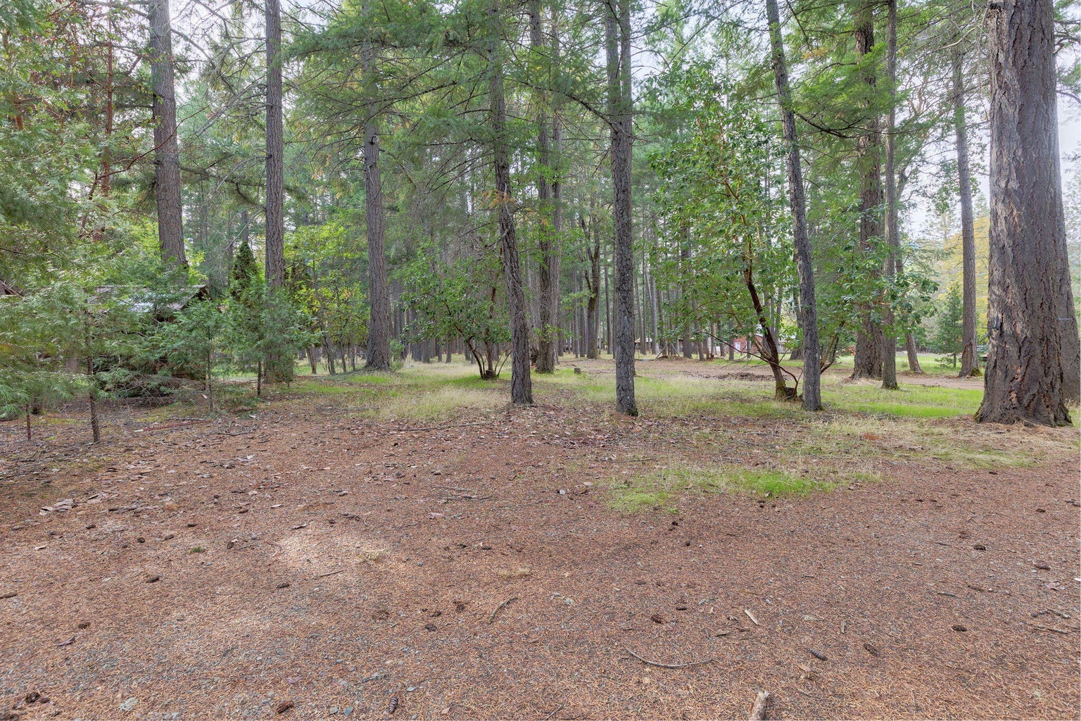 1820_Powell_Creek_Rd_29