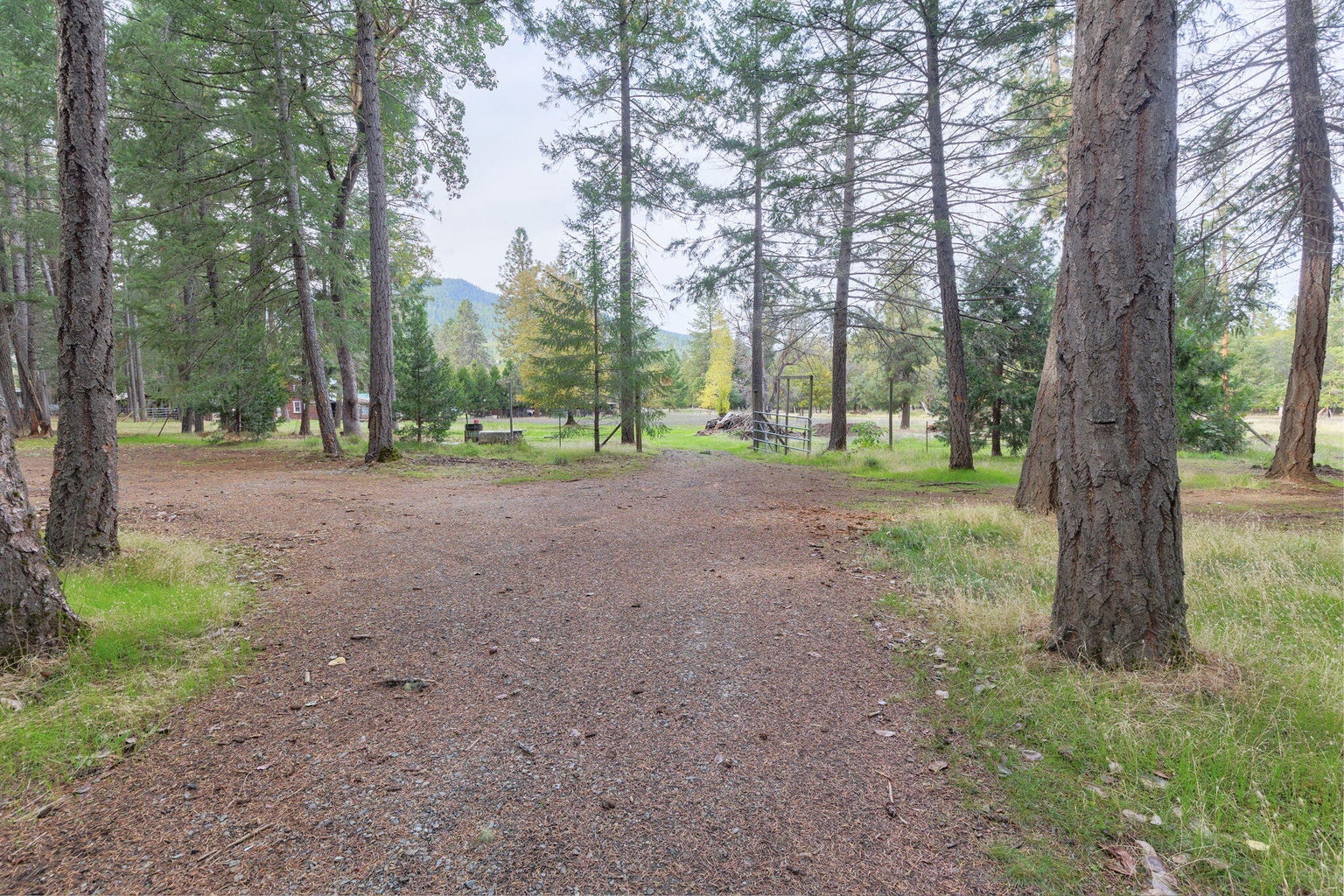 1820_Powell_Creek_Rd_30