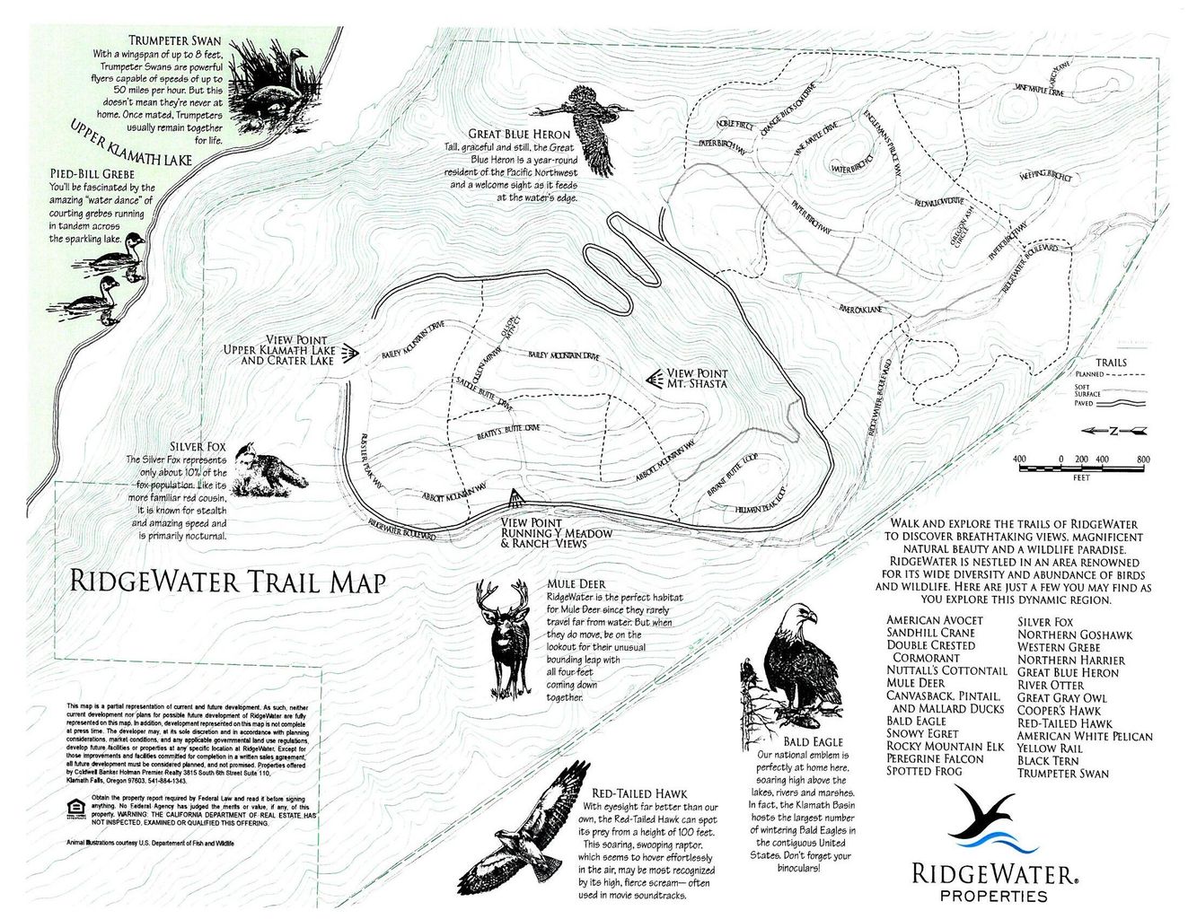 1096-Timber-Ridge_31