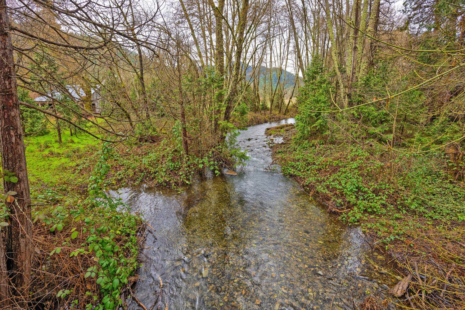 6901-Thompson-Creek-Road_03-3