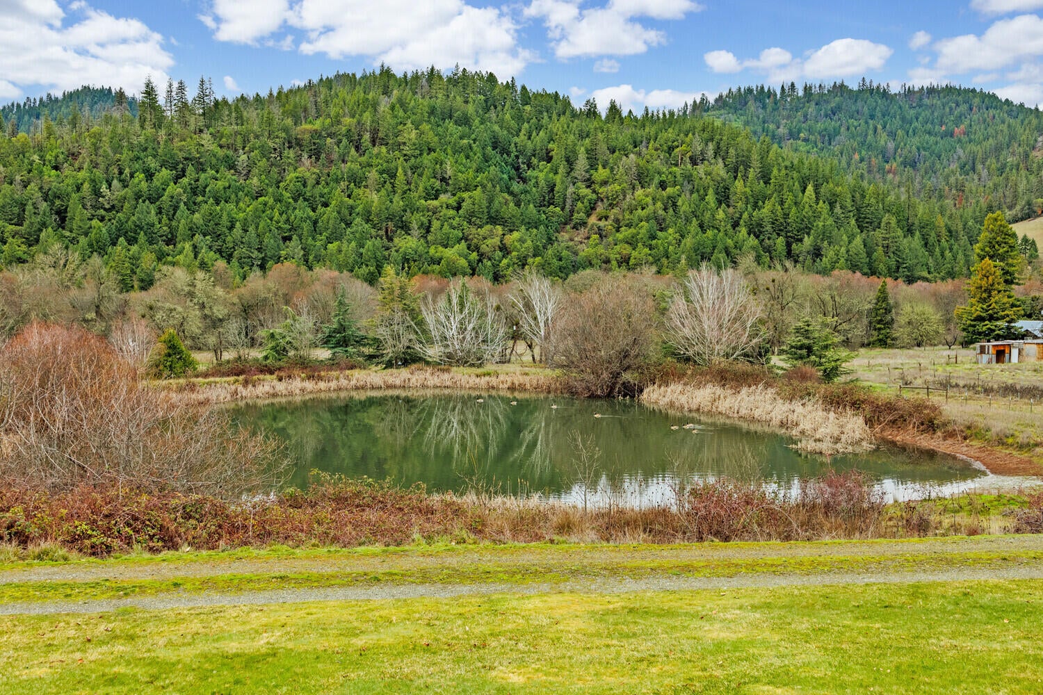 6901-Thompson-Creek-Road_06