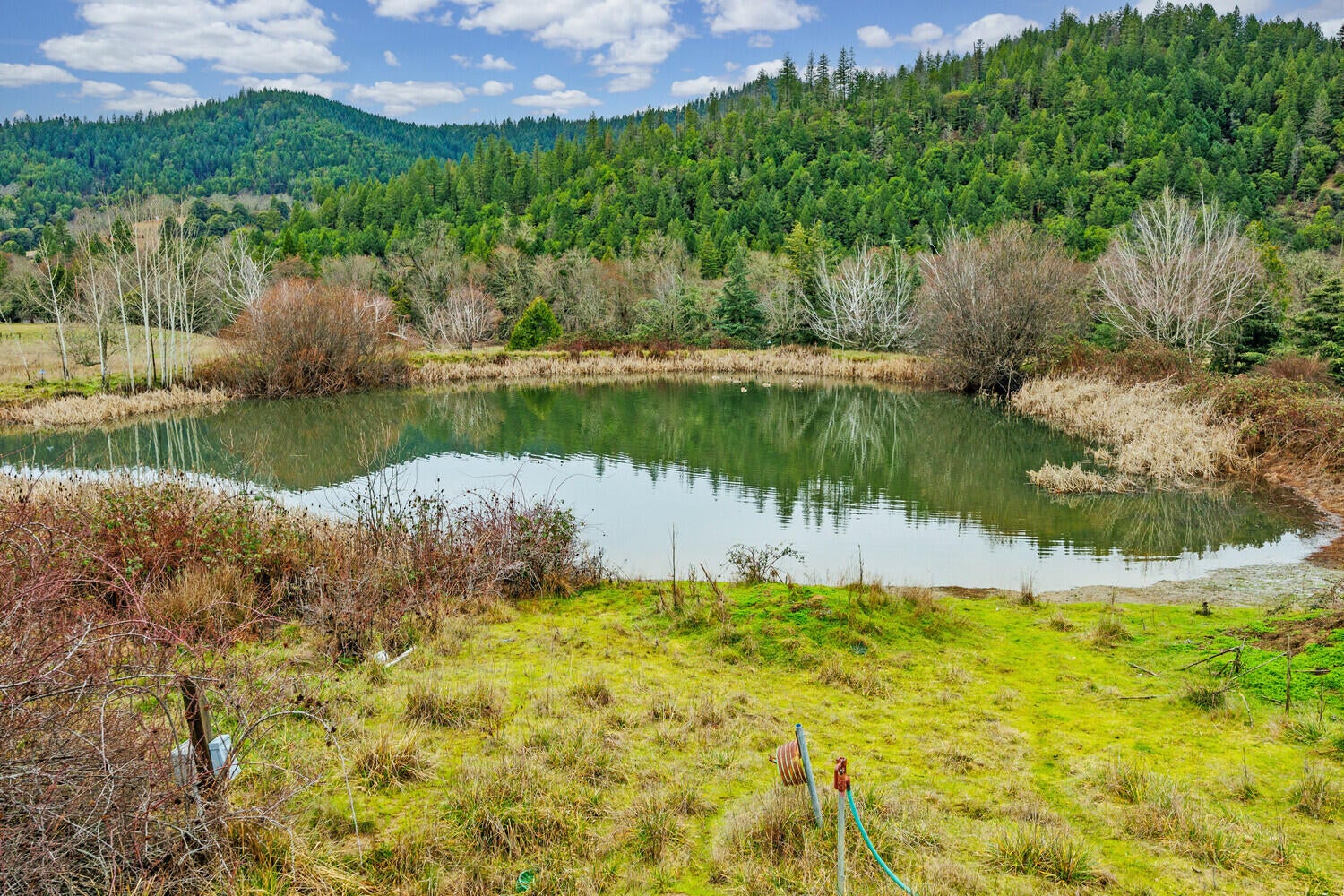 6901-Thompson-Creek-Road_09