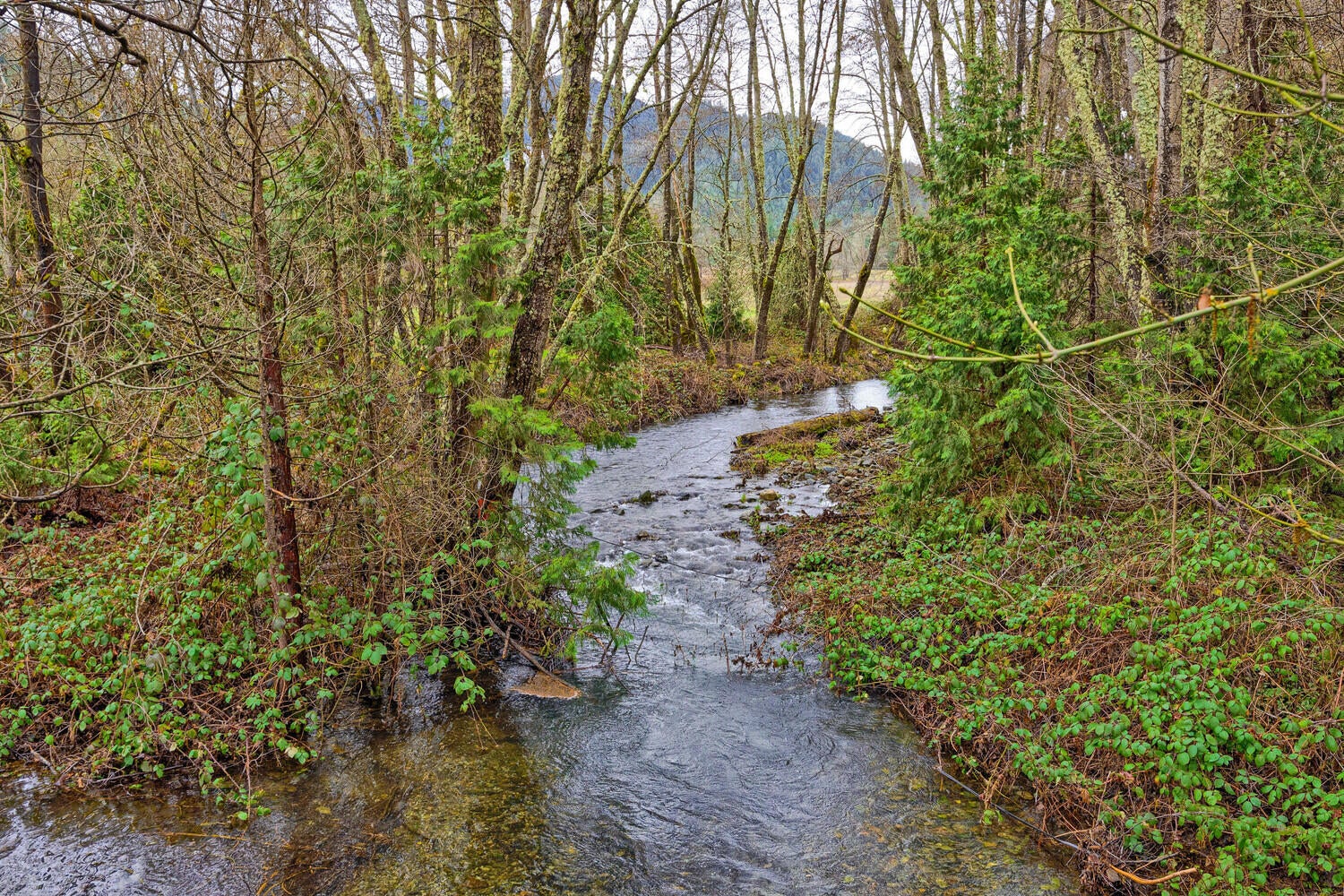 6901-Thompson-Creek-Road_10