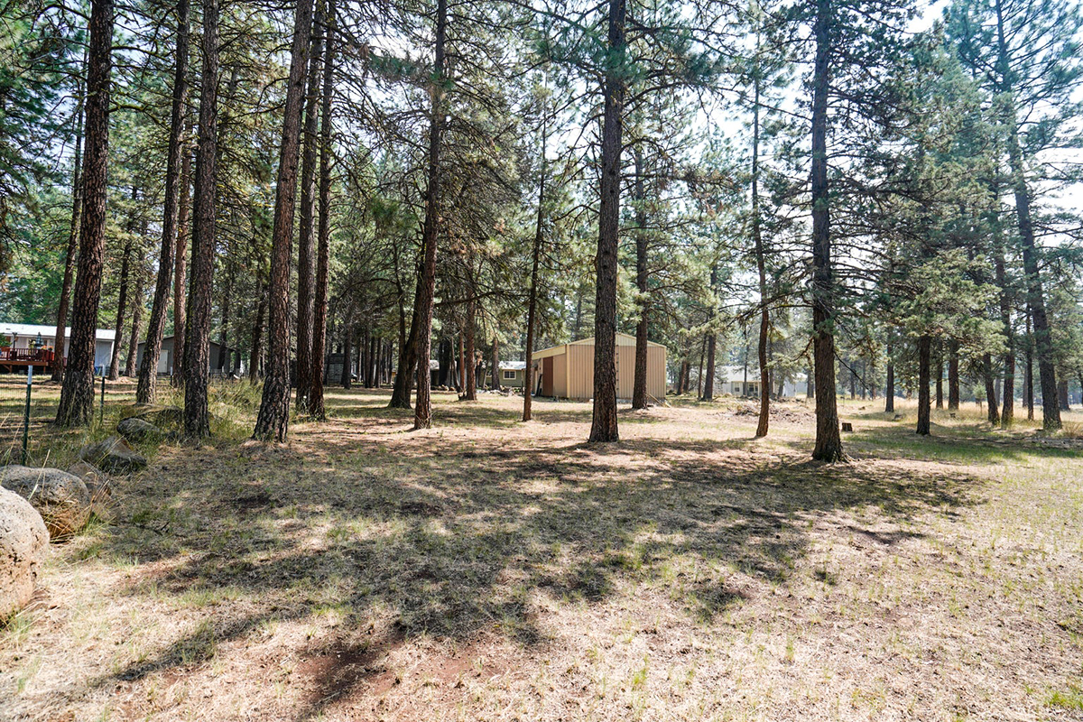 9118-Big-Pine-Way_23