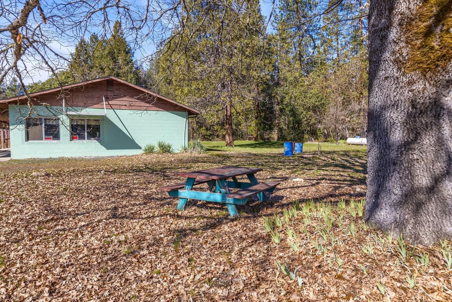 8005-E-Evans-Creek-Road_24