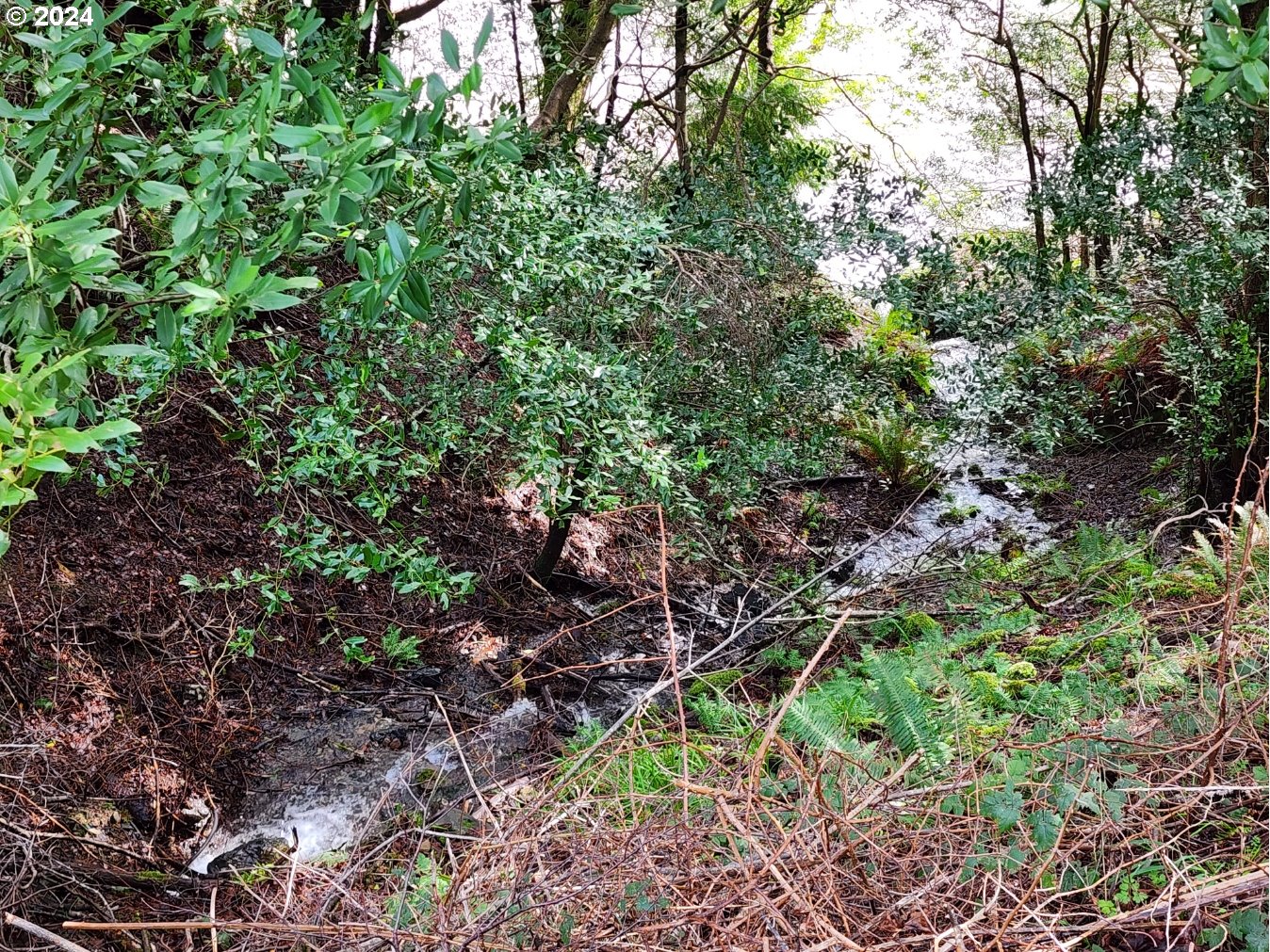 94837-ELK-RIVER-RD_28