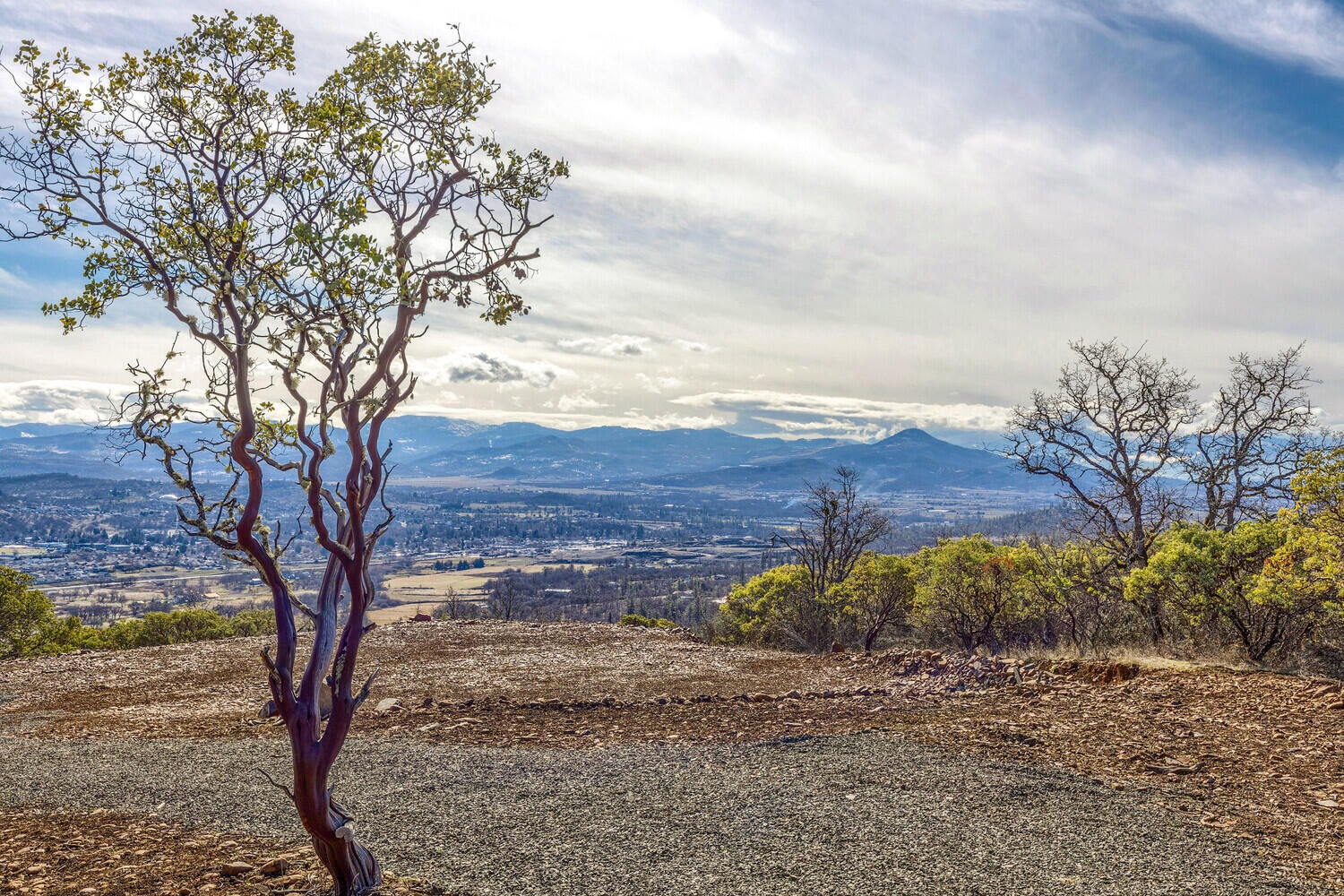 1560-Brentwood-Drive_07