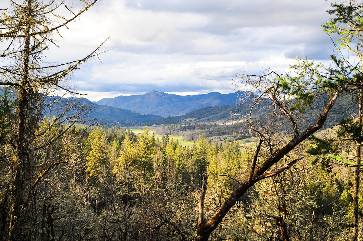 2214_Ltl_Applegate_Rd_03-View