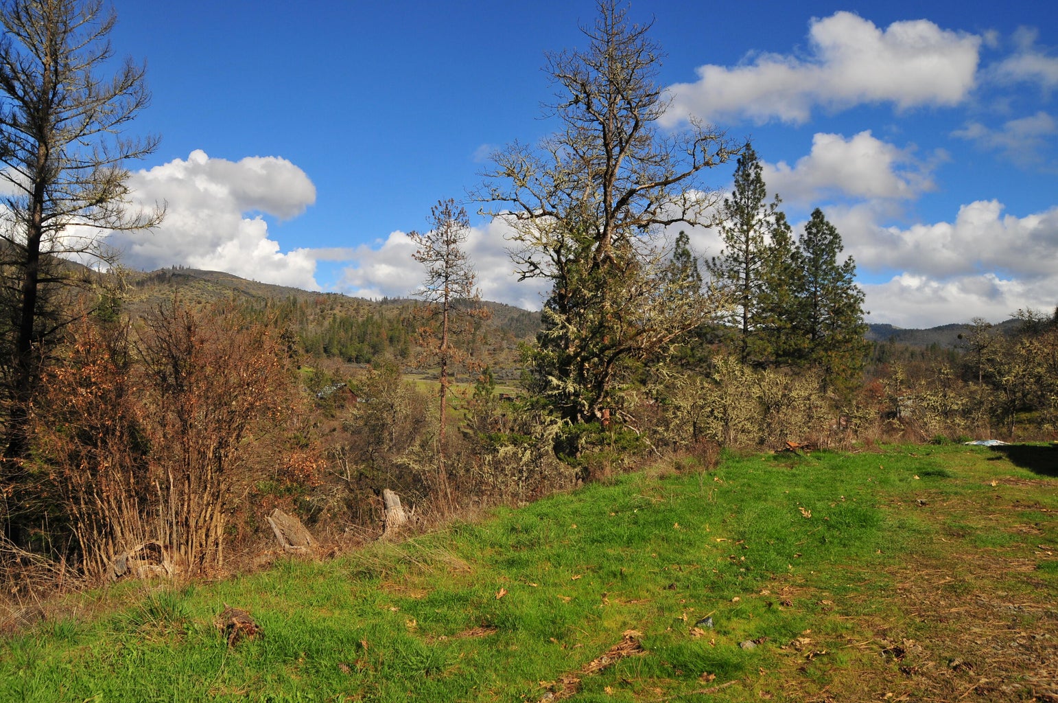 2214_Ltl_Applegate_Rd_06