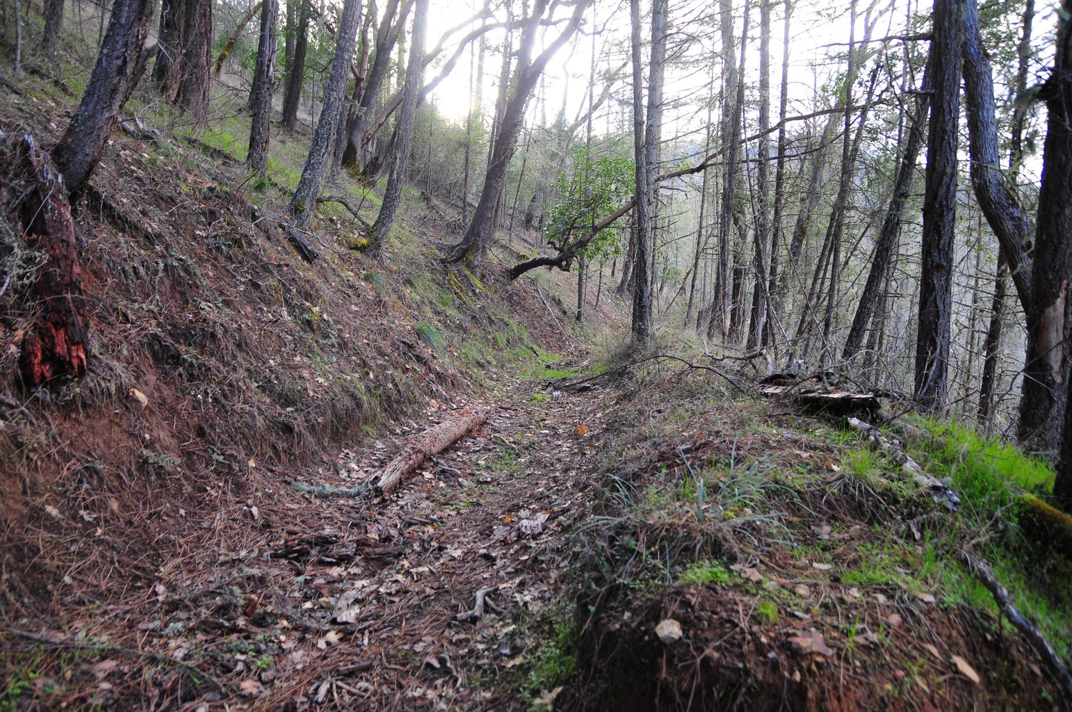 2214_Ltl_Applegate_Rd_07