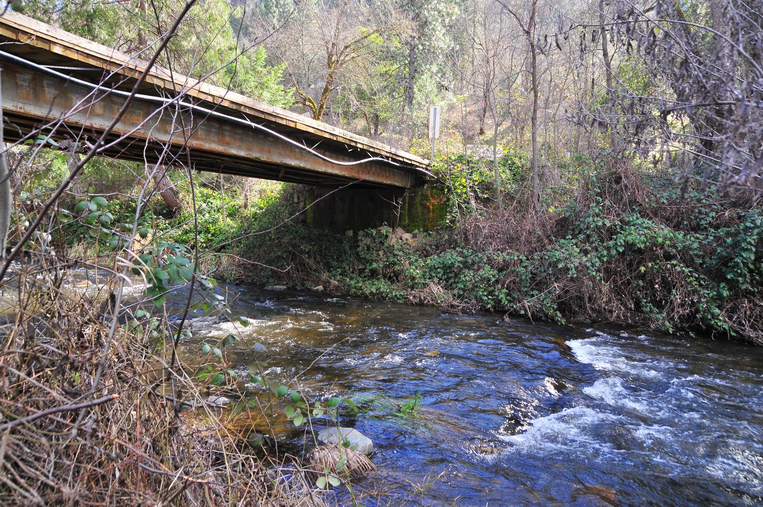 2214_Ltl_Applegate_Rd_10