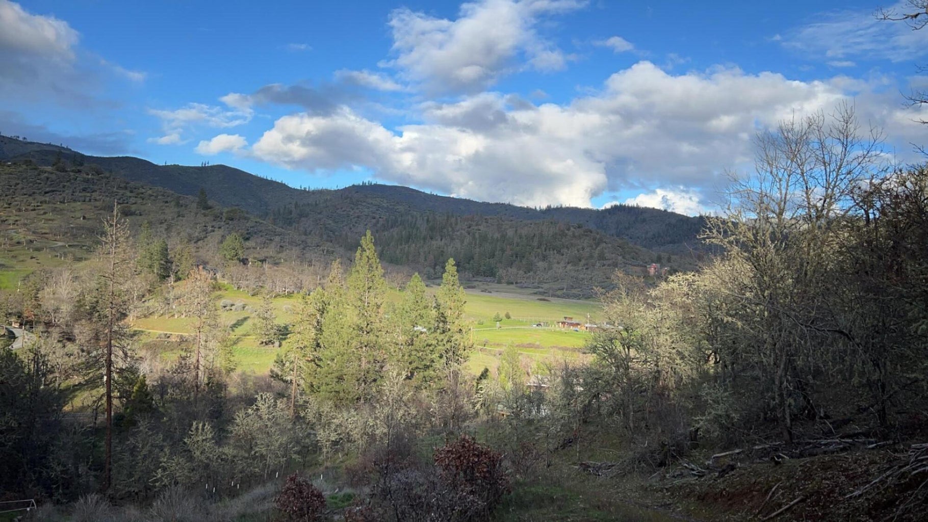 2214_Ltl_Applegate_Rd_16