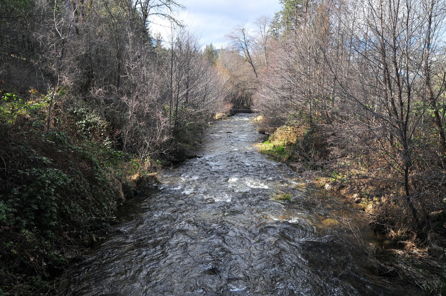 2214_Ltl_Applegate_Rd_17