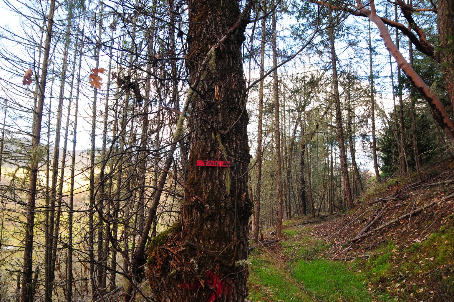 2214_Ltl_Applegate_Rd_18