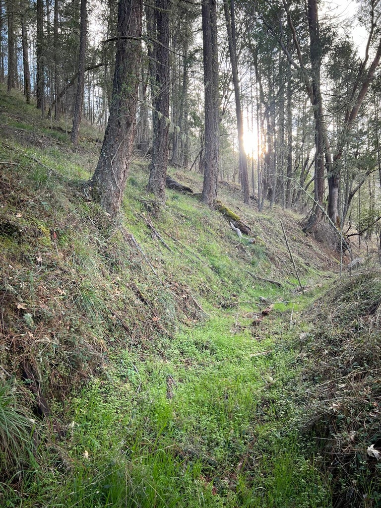 2214_Ltl_Applegate_Rd_19