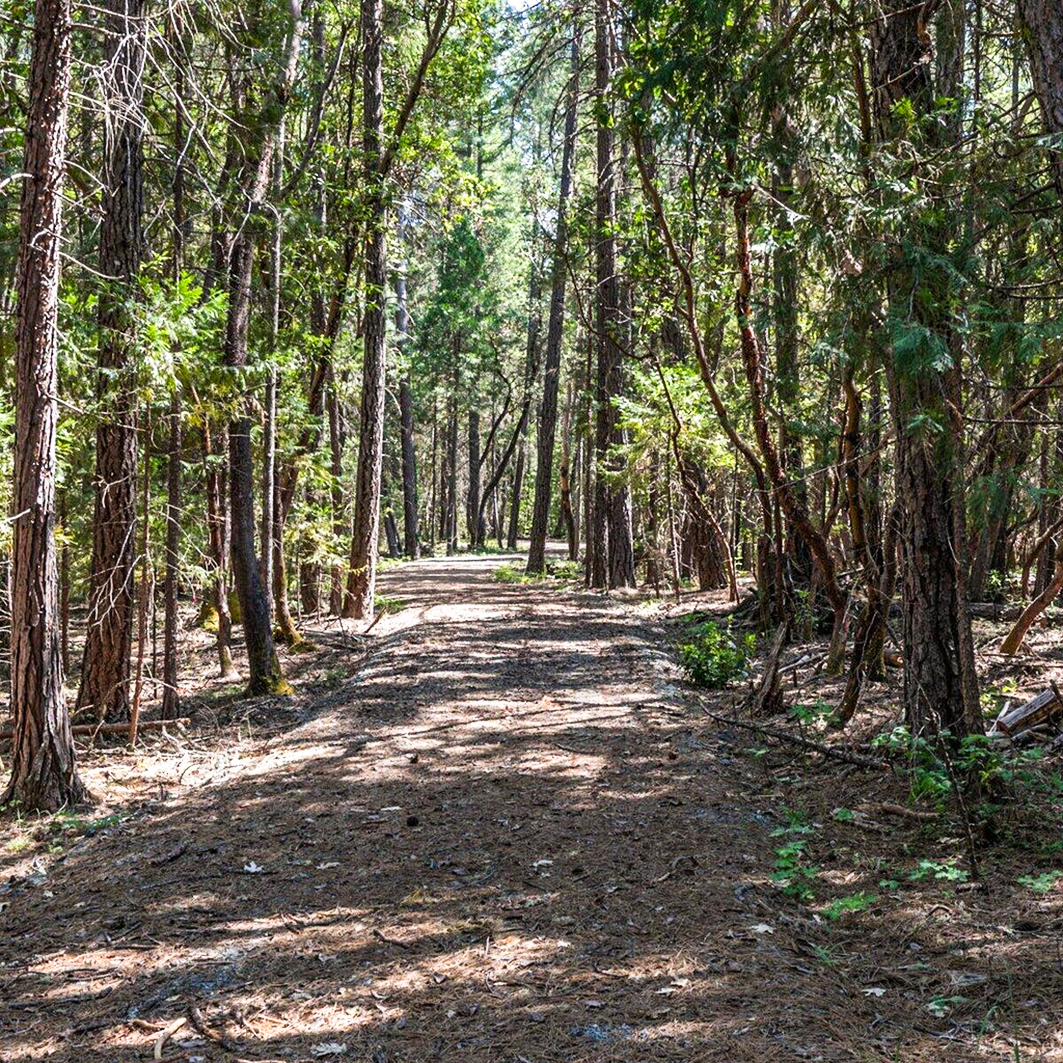 220175778, 810 Tetherow Rd, Williams, OR 97544