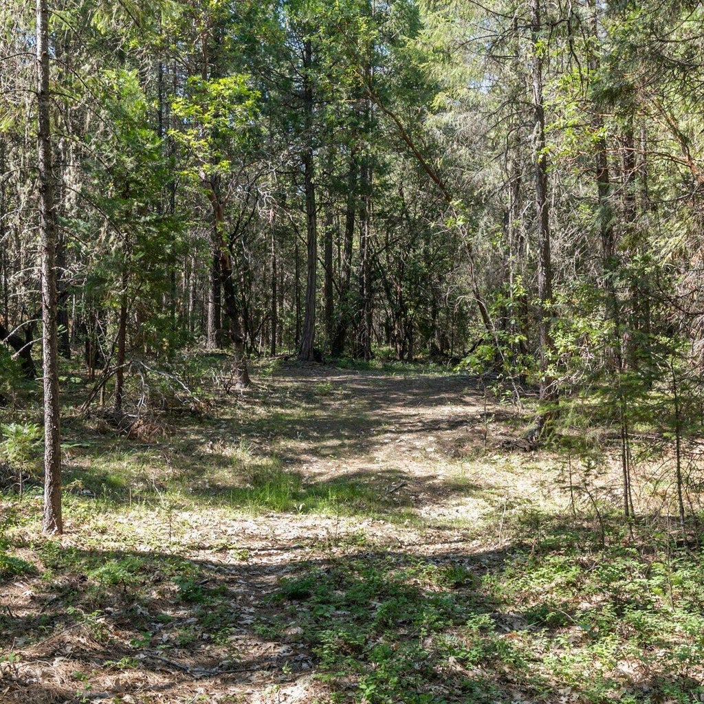220175779, 800 Tetherow Rd, Williams, OR 97544