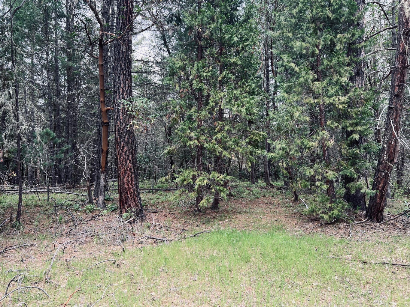 800_Tetherow_Rd_05
