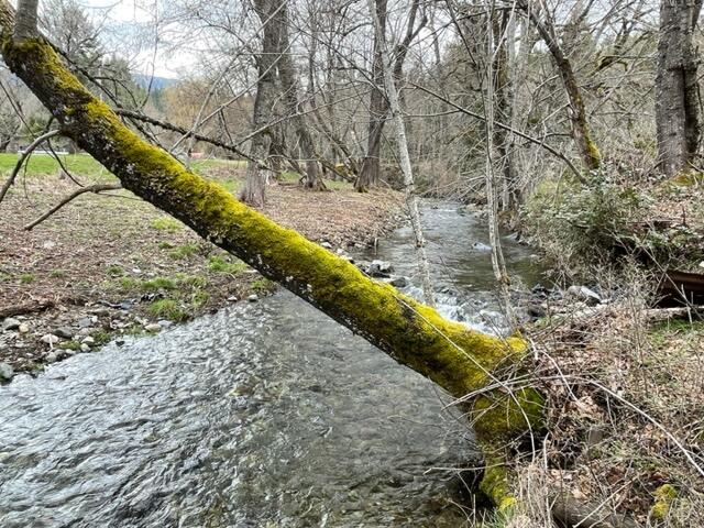 220161942, Thompson Creek Rd TL603, Applegate, OR 97530