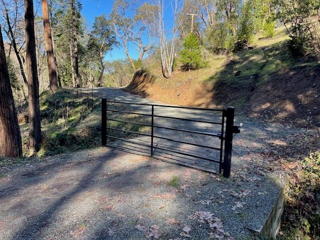10071-Wagner-Creek-Road_10