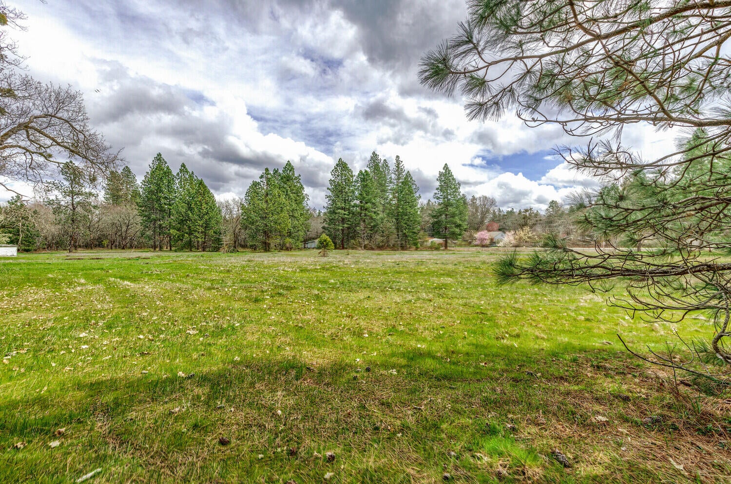 2925_Jerome_Prairie_Rd_02