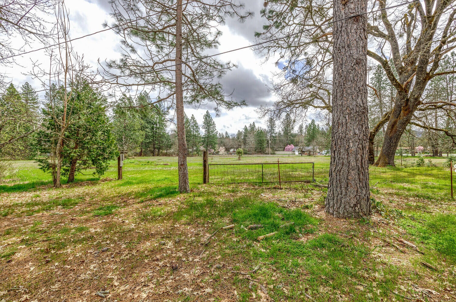 2925_Jerome_Prairie_Rd_14