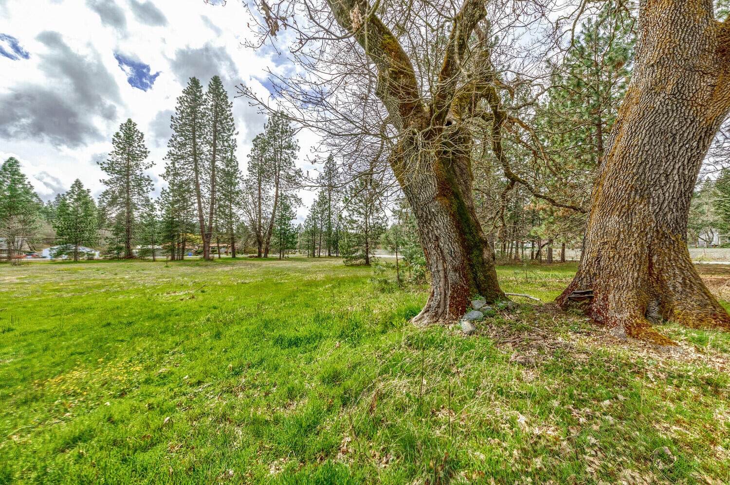 2925_Jerome_Prairie_Rd_16
