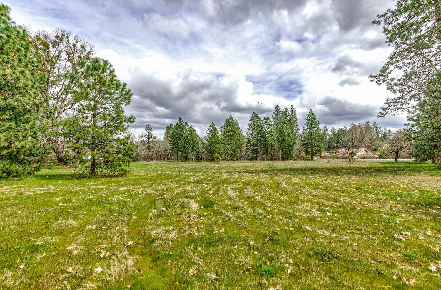 2925_Jerome_Prairie_Rd_17